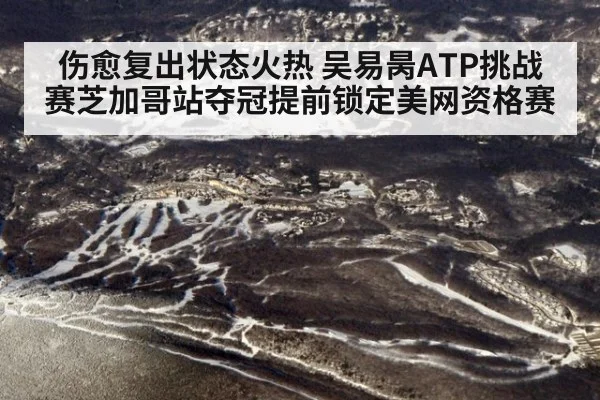 伤愈复出状态火热 吴易昺ATP挑战赛芝加哥站夺冠提前锁定美网资格赛