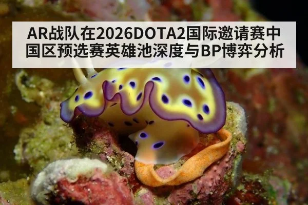 AR战队在2026DOTA2国际邀请赛中国区预选赛英雄池深度与BP博弈分析