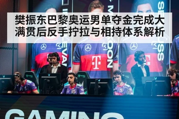 樊振东巴黎奥运男单夺金完成大满贯后反手拧拉与相持体系解析